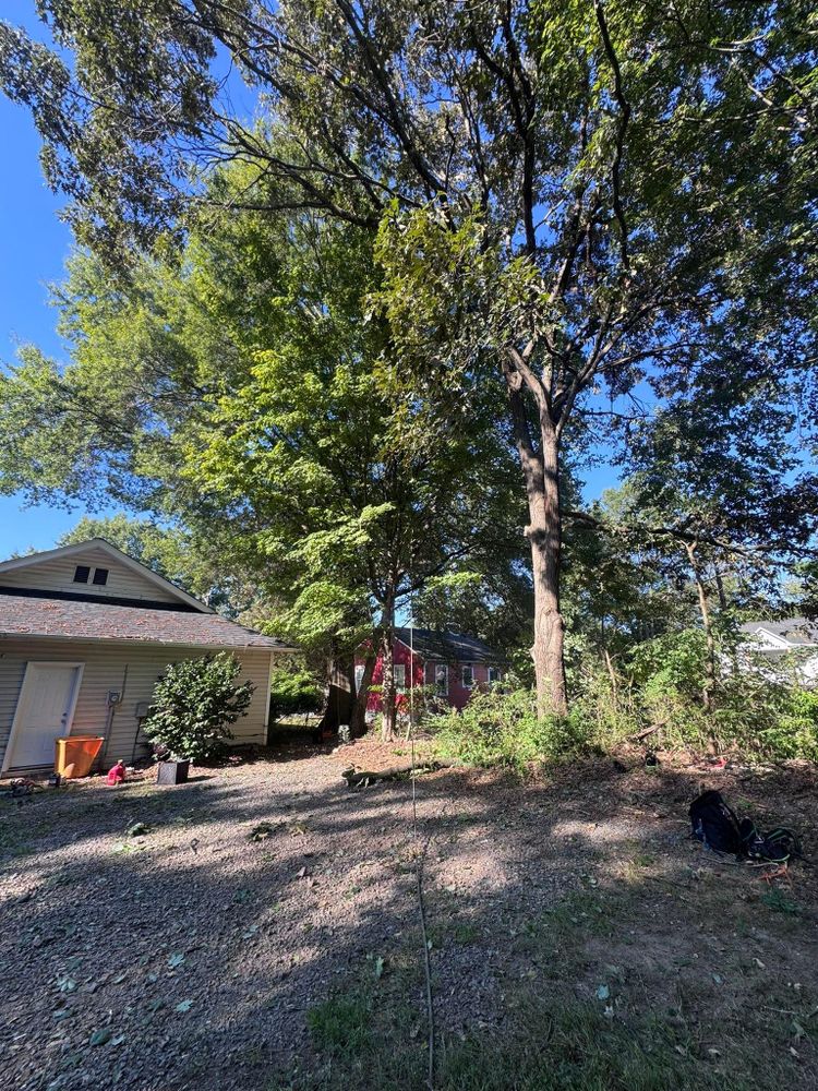 All Photos for Diversified Tree Company in Trinity, NC