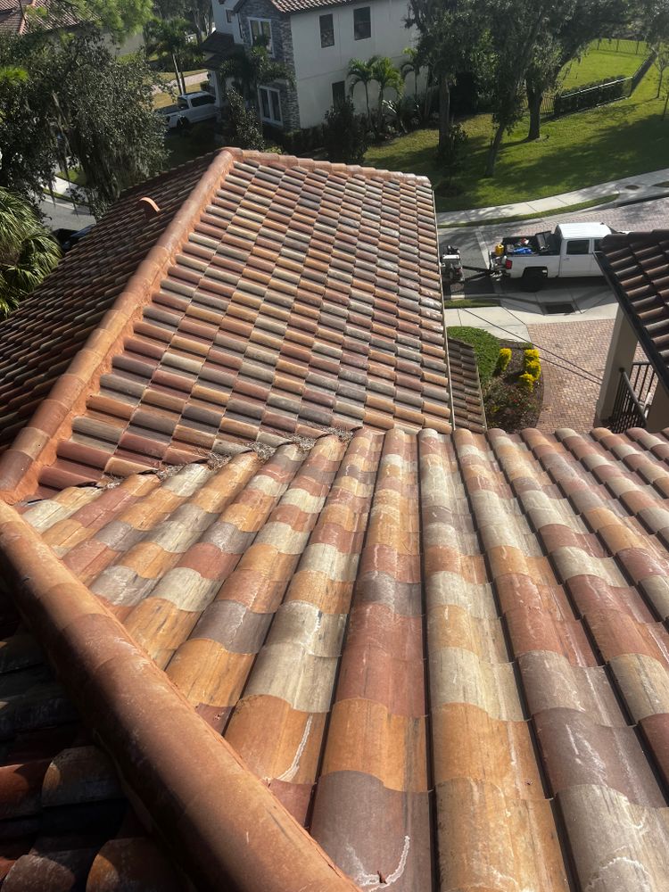 All Photos for Barr None Wash Pro in Tampa, FL