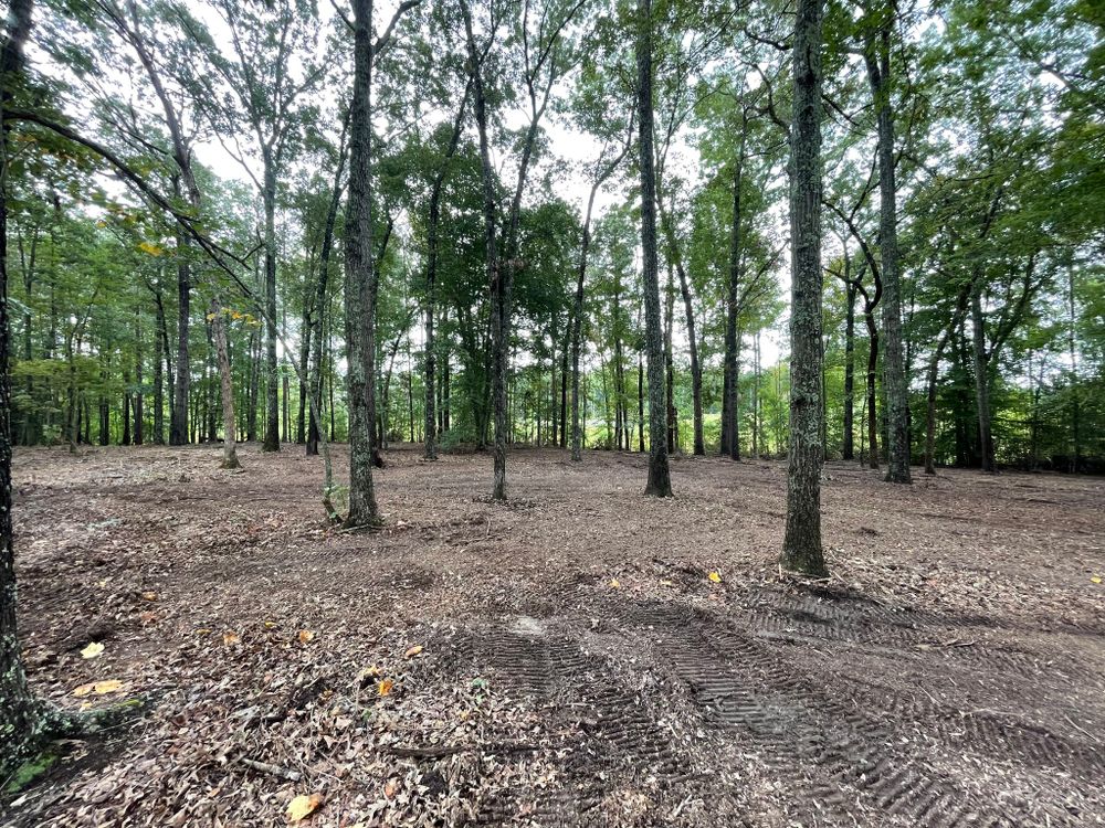 All Photos for Lewis Oaks Landscaping in King and Queen County, VA