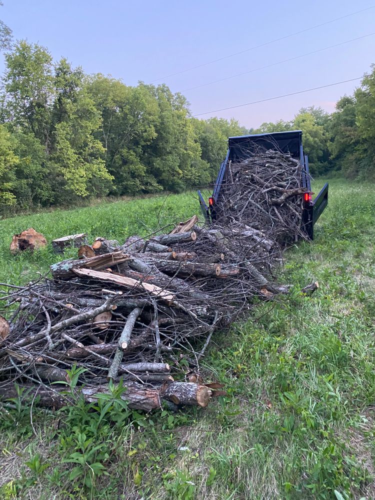 All Photos for Houtz Tree Service in Lexington, KY