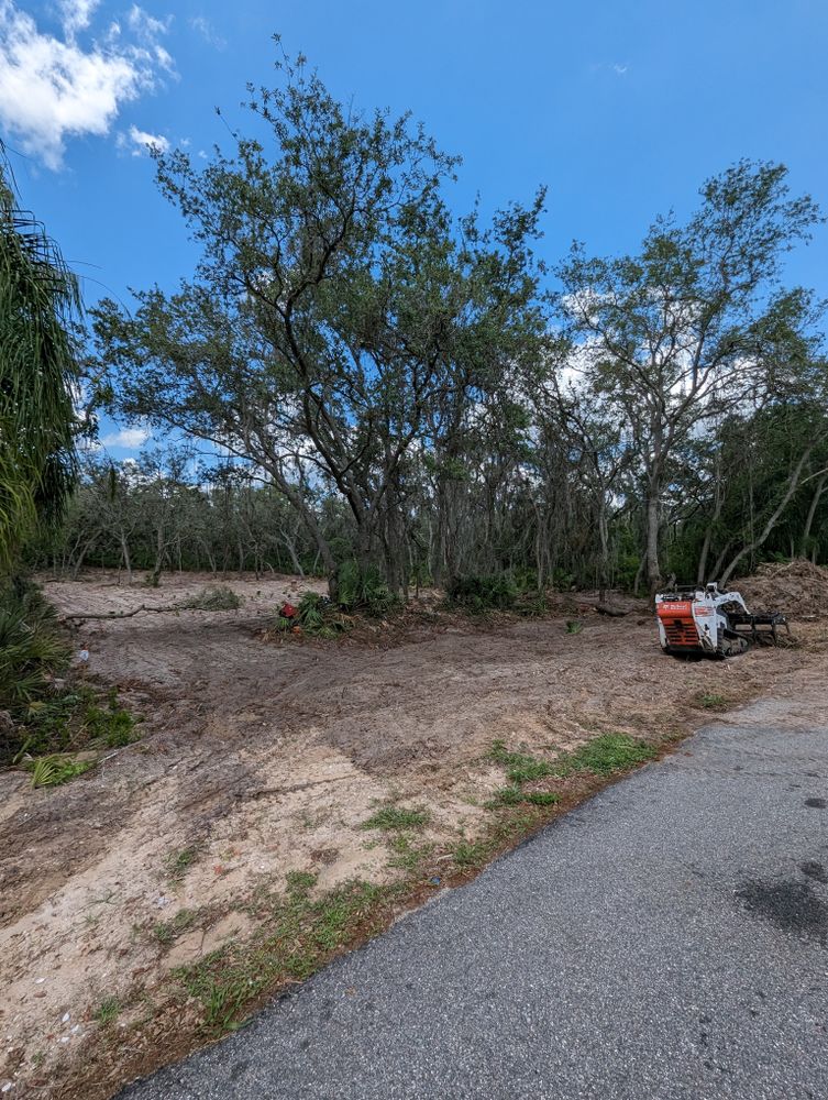 All Photos for Regal Tree Service and Stump Grinding in Wauchula, FL