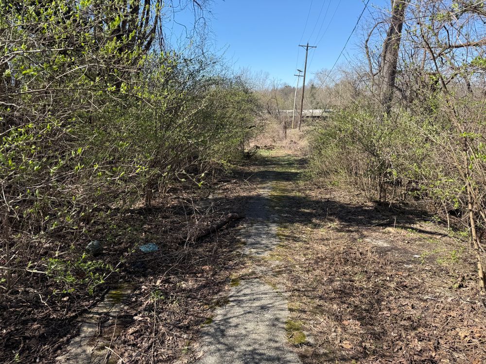 All Photos for A1 Bush Hogging & Lawn Service in London, OH