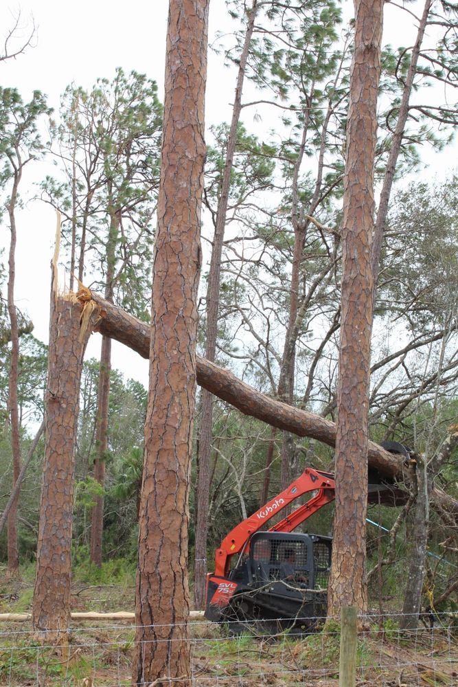 Our Emergency Tree Services provide rapid response for storm damage, fallen trees, or hazardous limbs. We ensure safety and swift resolution to restore your property's serenity and prevent further damage. for American Tree Masters in Alvin, TX