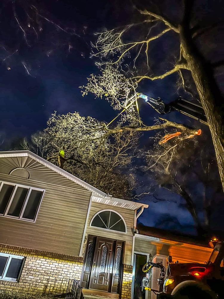All Photos for Down To Earth Tree Service in Red Wing,  Minnesota