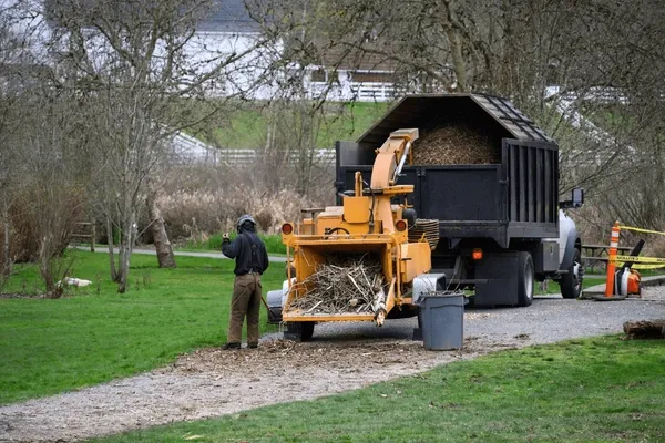 Our wood chipping service quickly turns branches, limbs, and tree debris into manageable mulch, leaving your property clean, safe, and tidy after trimming or removal with efficient professional equipment. for J&Q Tree Service in Paradise, MI