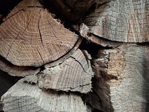 All Photos for Olson Tree Service, Inc in Rockford, IL