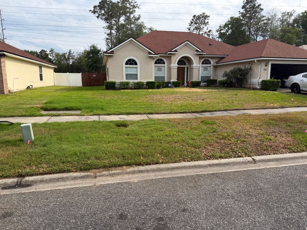 All Photos for All of the Above Landscaping in Orange Park, FL