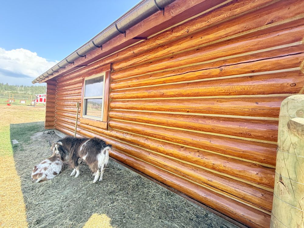 All Photos for Wild West Log home specialists in Corvallis, MT