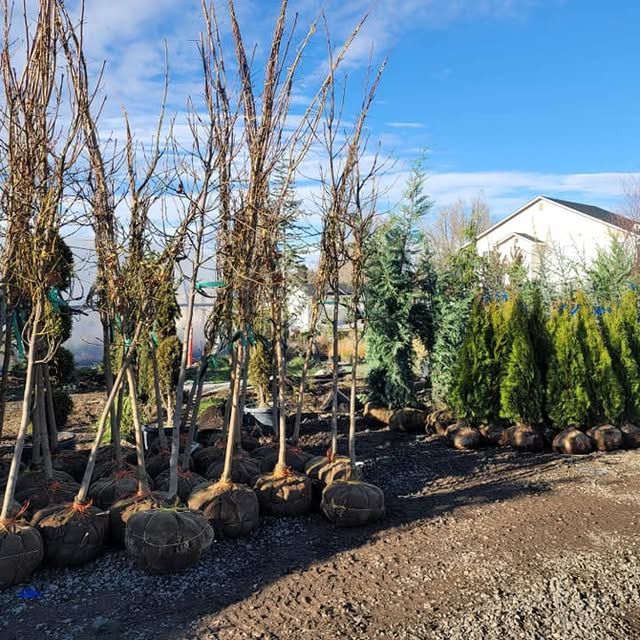 All Photos for Mike's Grading Plus in Caldwell, ID