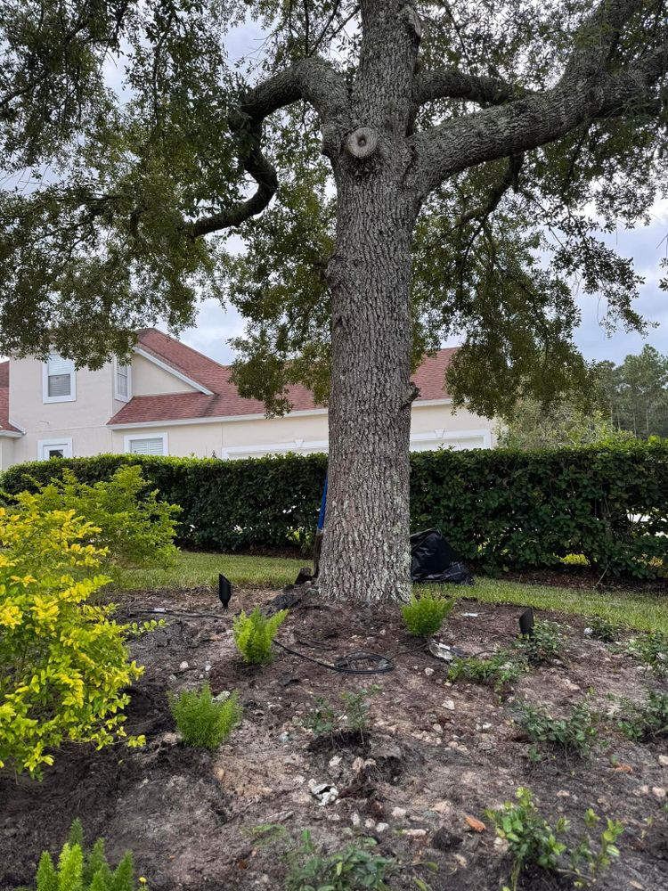 All Photos for Pro Designs Landscaping LLC in Jacksonville, FL