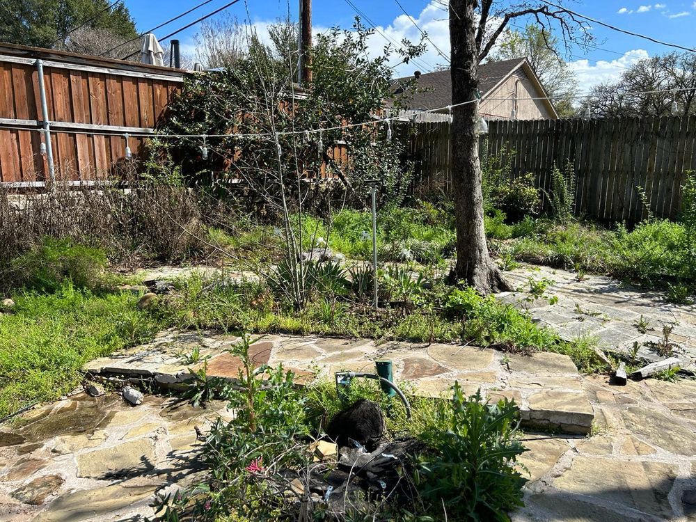 Seasonal color changes for Guerrero's Landscape in Fort Worth,  TX