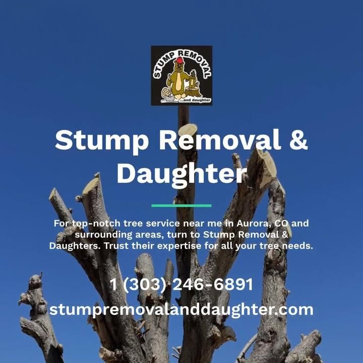 All Photos for Stump Removal and Daughters in Aurora, CO