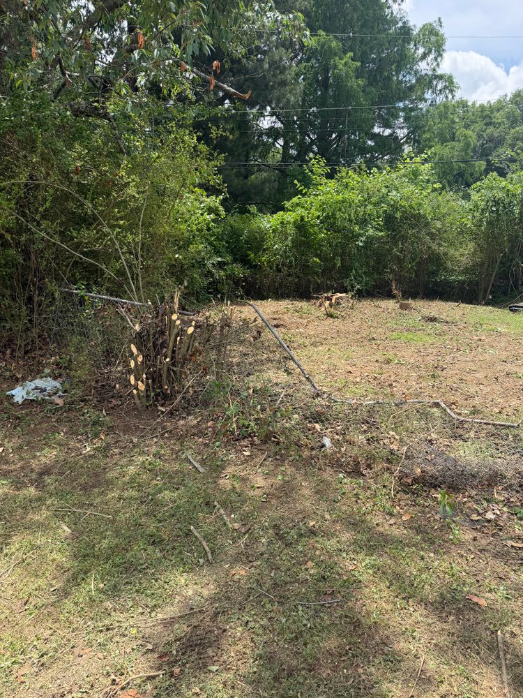 All Photos for Kingdom Landscaping in Memphis, TN