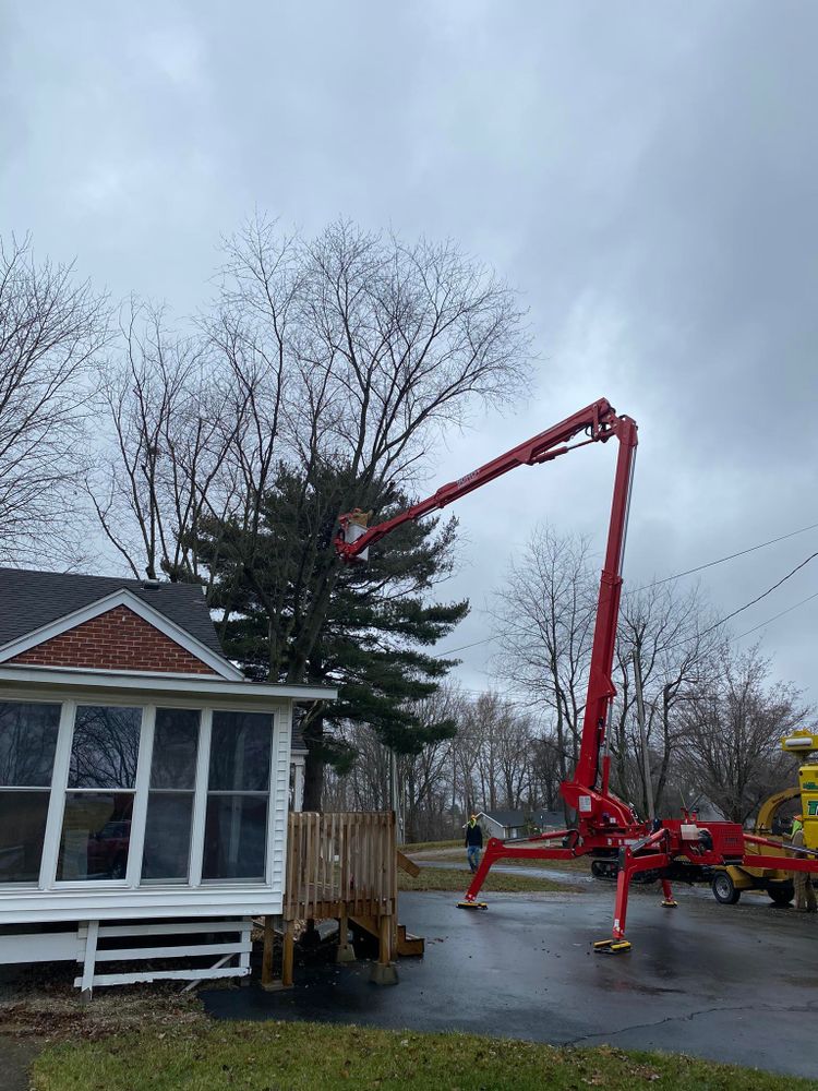 Tree Removal for SMITHs Tree Service in Columbus, IN