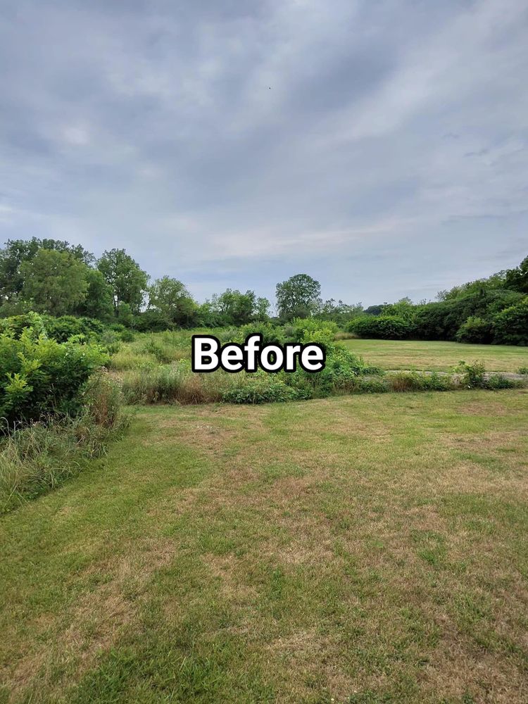 All Photos for F & F Tree Service in Beavercreek, OH