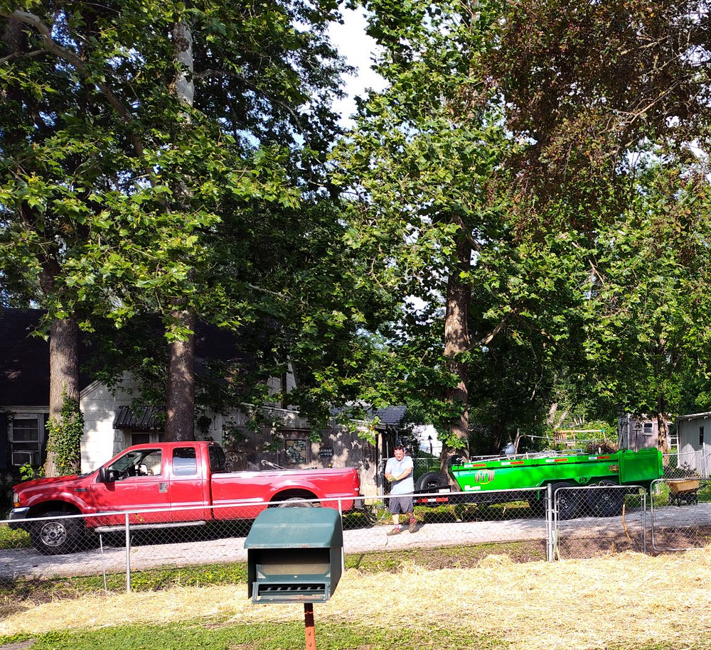 Superior Landscaping Design team in Ava, MO - people or person