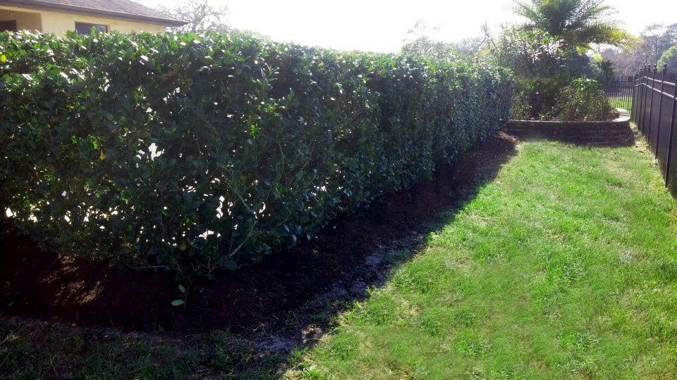 Transform your outdoor space with our expert landscaping services. We design and maintain beautiful, functional gardens tailored to enhance your home's appeal and create the perfect environment for relaxation and enjoyment. for Top Gun Lawn Care in Citrus, FL