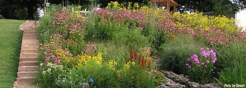 All Photos for Strange Soles in Cambridge, MA