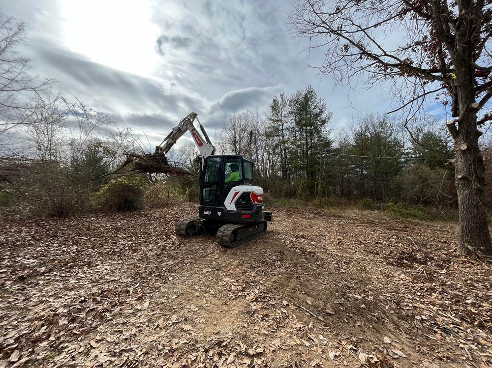 Tree Removal for Complete Care in Cumberland Gap, TN