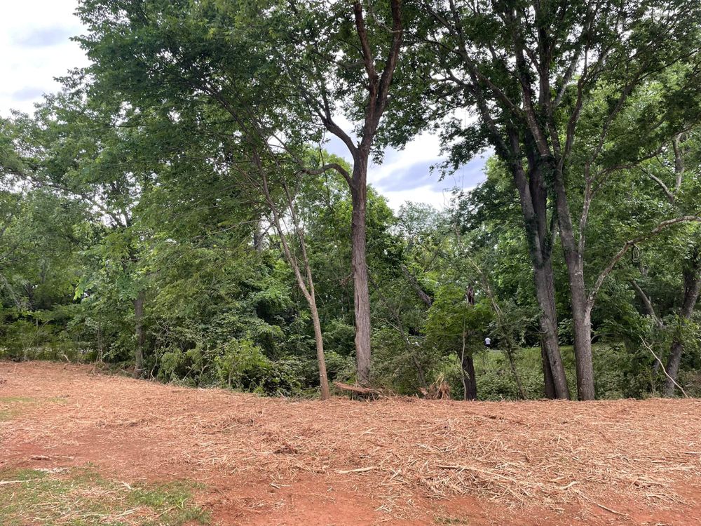 Pasture Reclamation for Bass Land Management in Yellville, AR