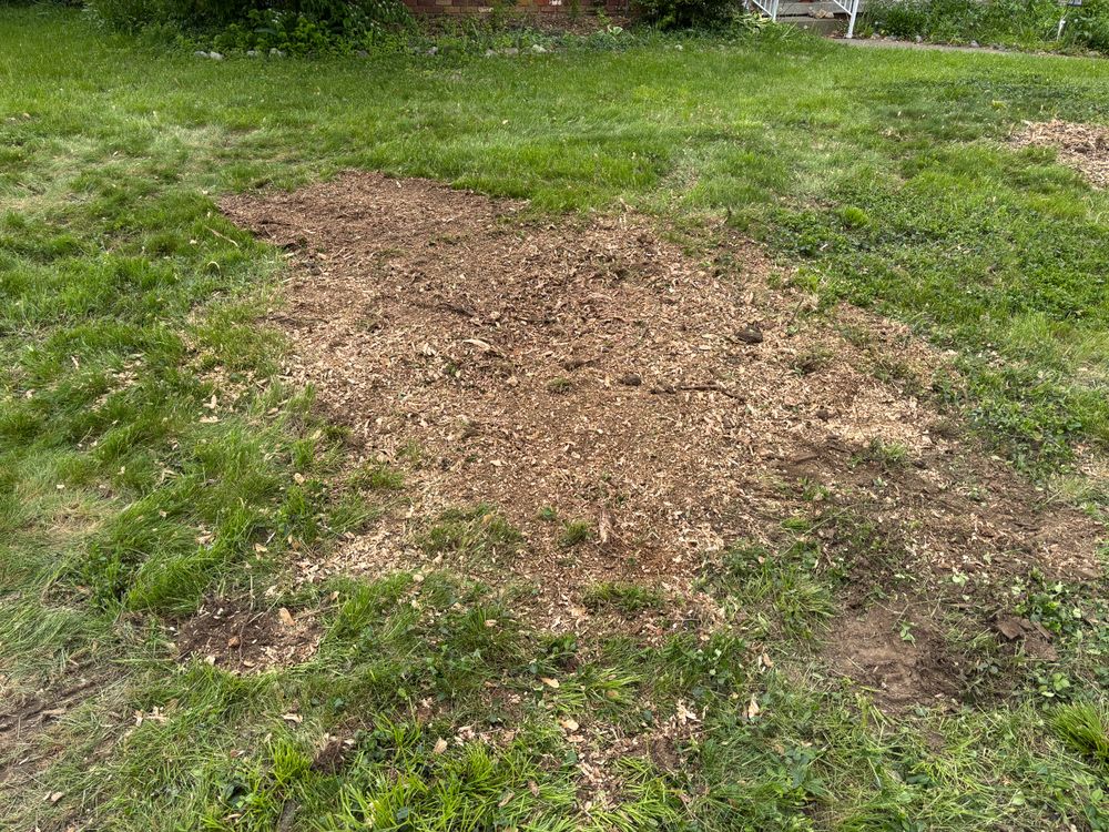 All Photos for Conrad's Stump Removal in Columbus, IN
