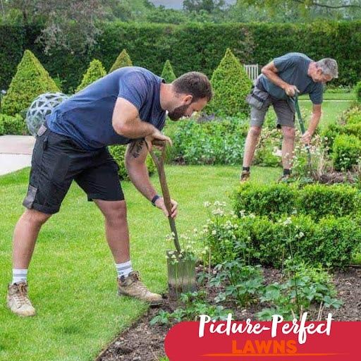 All Photos for Genluma Services Lawn Care in Vancouver, WA