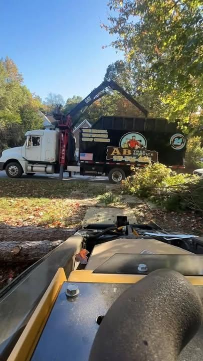 All Photos for AB Tree Service in Raleigh, NC