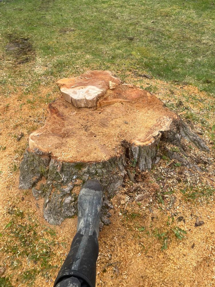 Our stump removal service efficiently eliminates unwanted stumps, improving your landscape's appearance and safety, while preventing future pests or regrowth in your property for a clean and polished outdoor space. for Licensed to Cut in Athens, PA