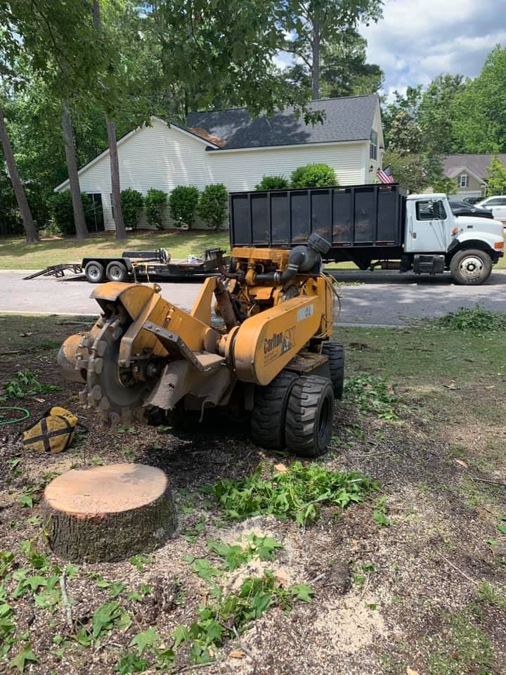 Our Stump Removal service efficiently eliminates unsightly stumps, enhancing your landscape’s beauty and safety. Trust our experts to carefully remove stumps, preventing regrowth and making way for new possibilities in your yard. for Coastal Tree & Stump in Charleston, SC