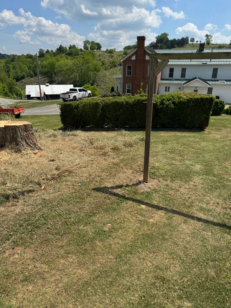 All Photos for Precision Cutz Tree Services, LLC in Coeburn, VA