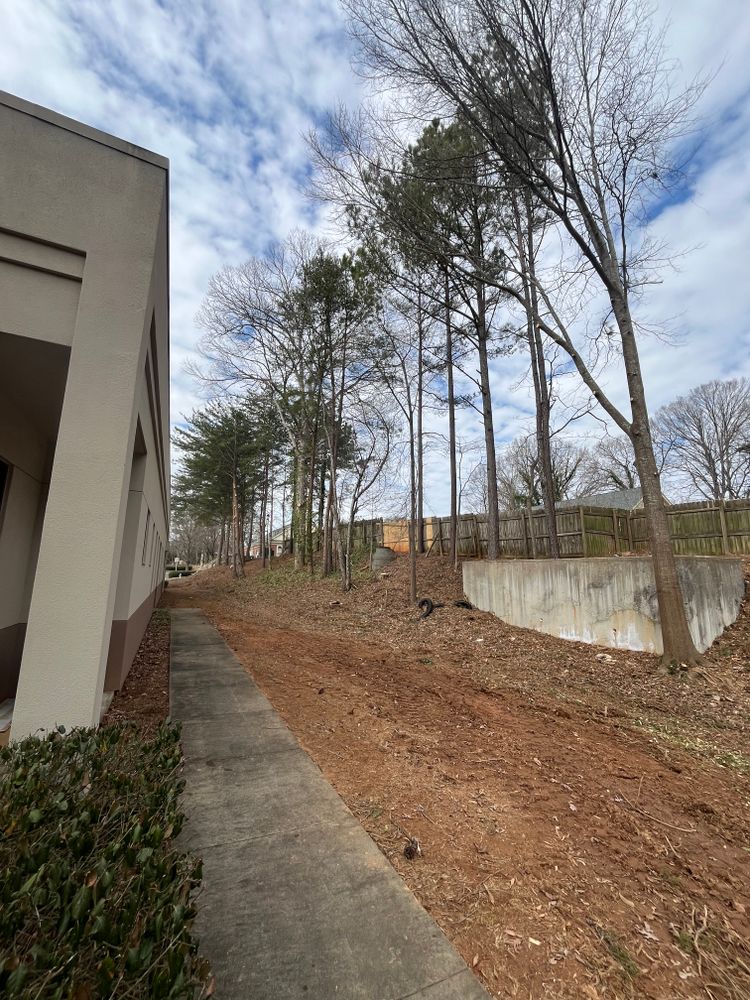 All Photos for J&M Stump Grinders LLC in Douglasville, GA