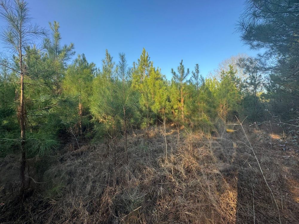 All Photos for South Mississippi Land Management LLC in Columbia, Mississippi