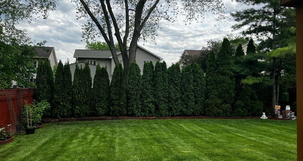 Tree Removal for Moreno Landscaping in Mundelein, IL