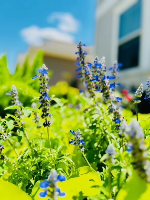 All Photos for Rustic Roots Landscaping in Austin, TX