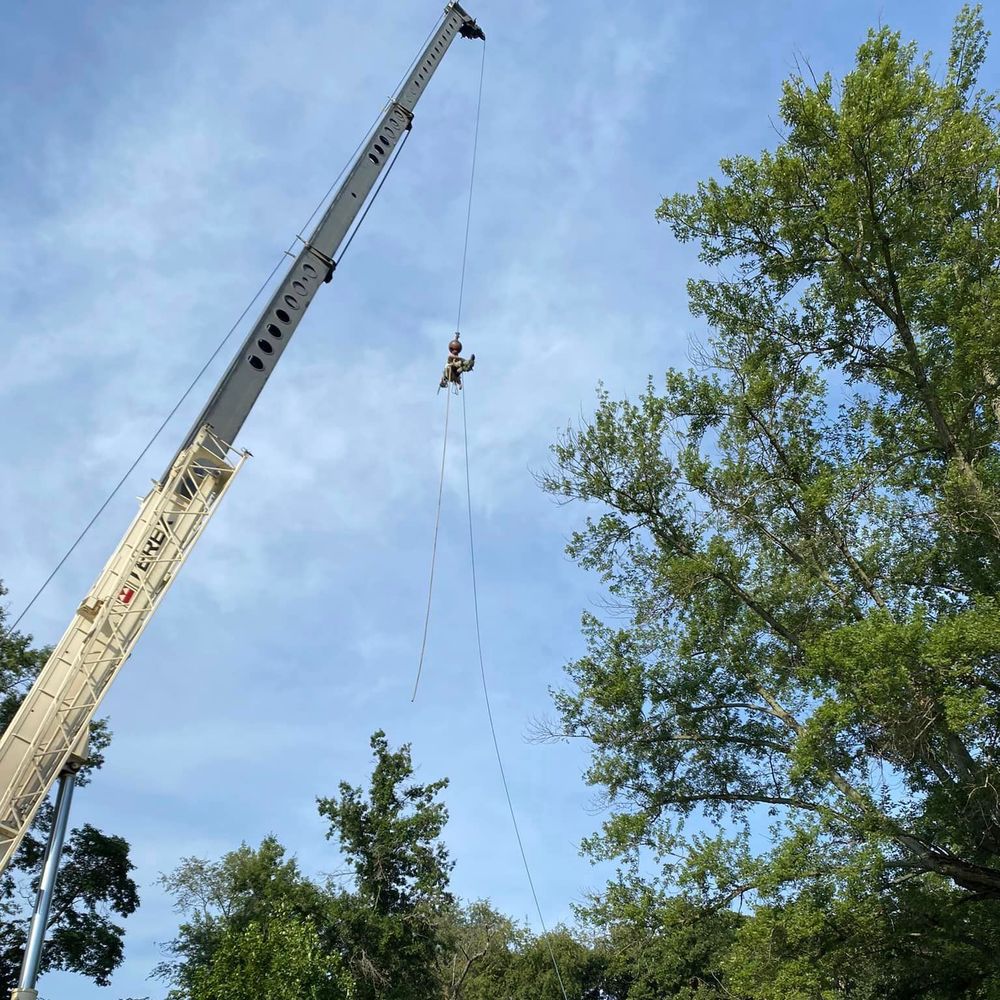 Tree Removal for Highborn Tree Service in Wheatfield, IN
