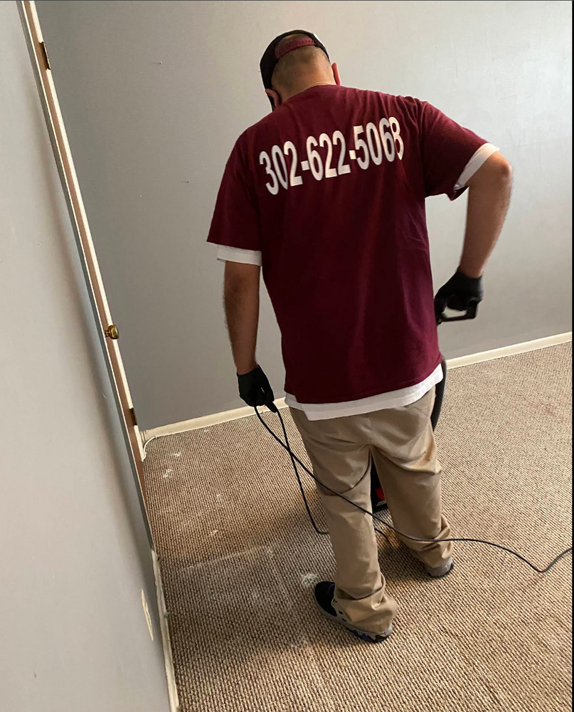 Carpet Cleaning for Banderas Cleaning Service in Elsmere, DE