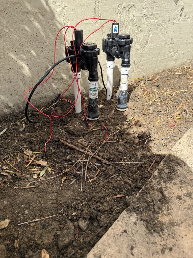 All Photos for CBA Landscaping in Hayward, CA