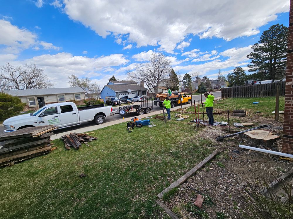 All Photos for NGL Landscape Company in Denver, CO