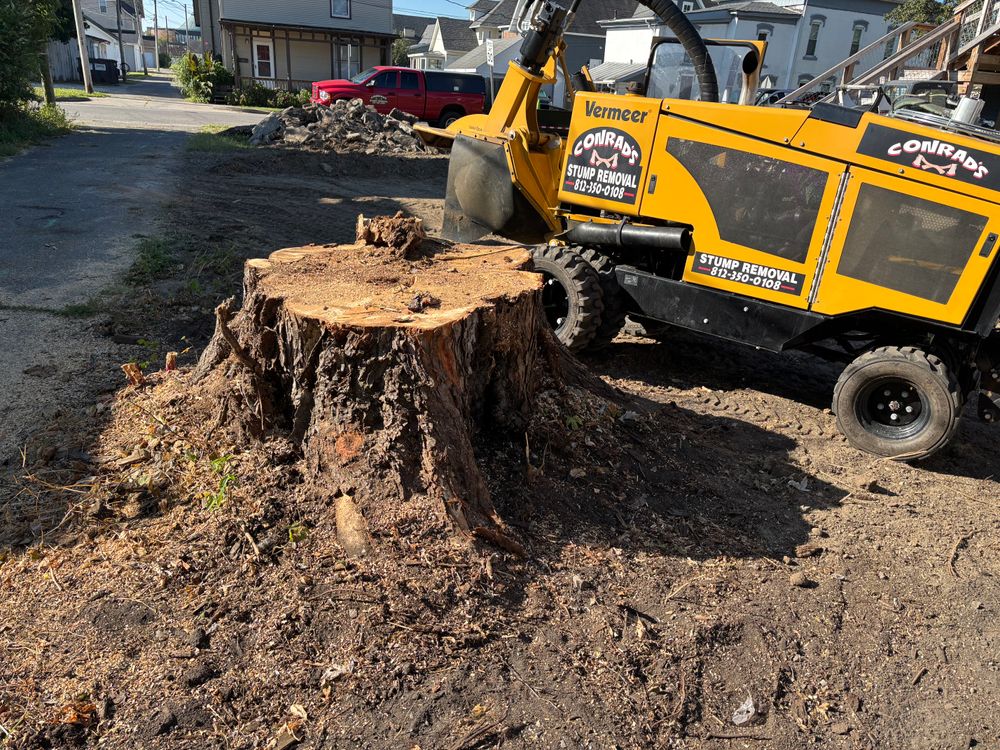 All Photos for Conrad's Stump Removal in Columbus, IN