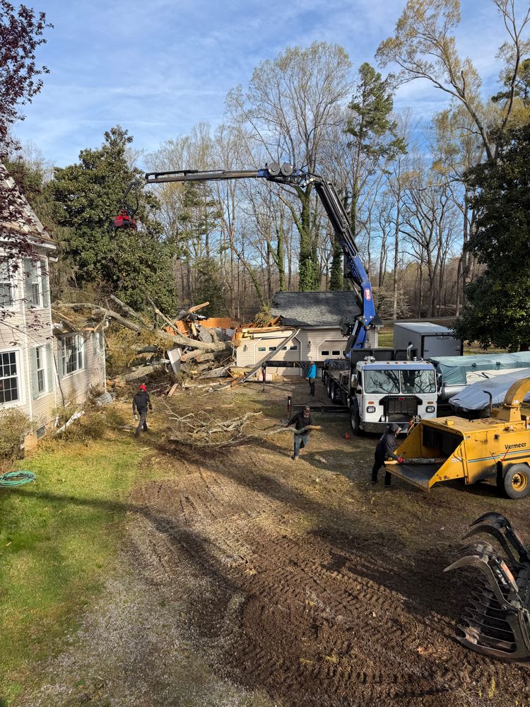 All Photos for Rawls Tree Care in Richmond, VA