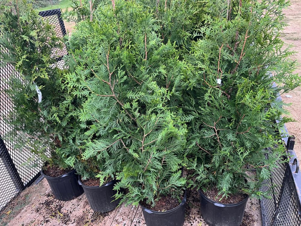 All Photos for Atlas Home Services in Mechanicsville, VA