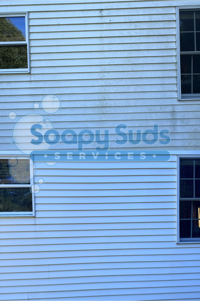 Home Softwash for Soapy Suds Services in St. Charles, IL