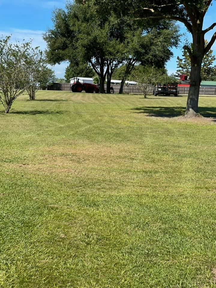 All Photos for Duck's Lawn & Tree Service in Winter Haven, FL