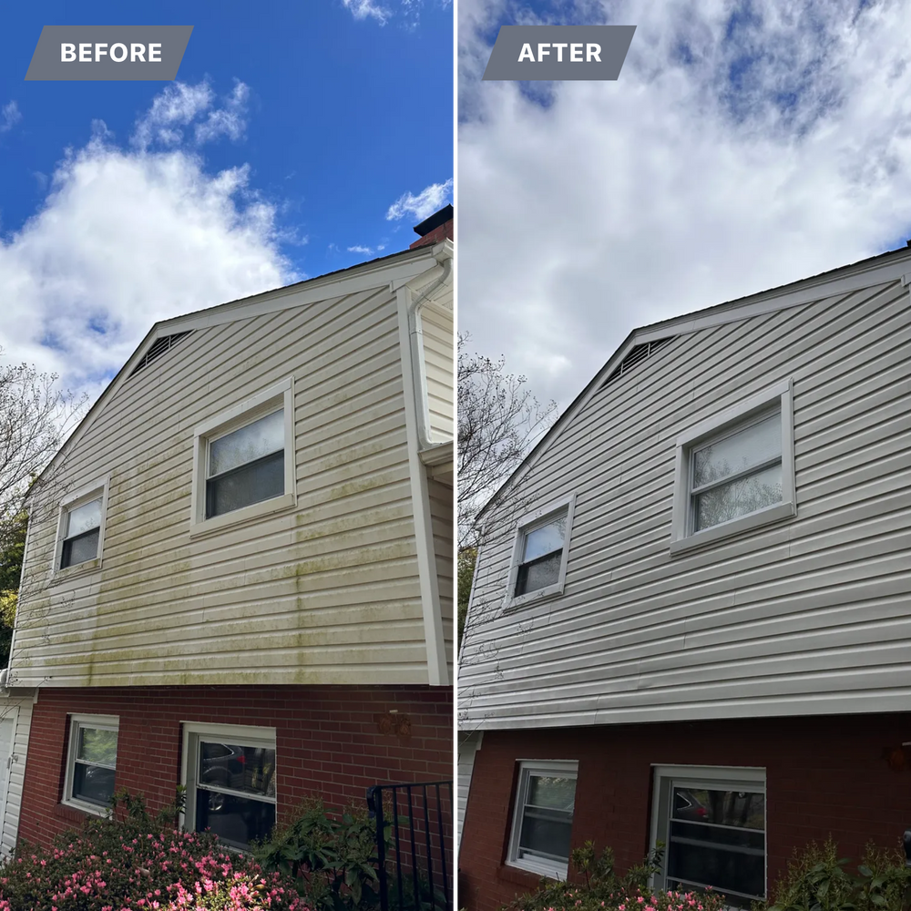 All Photos for LeafTide Solutions in Richmond, VA