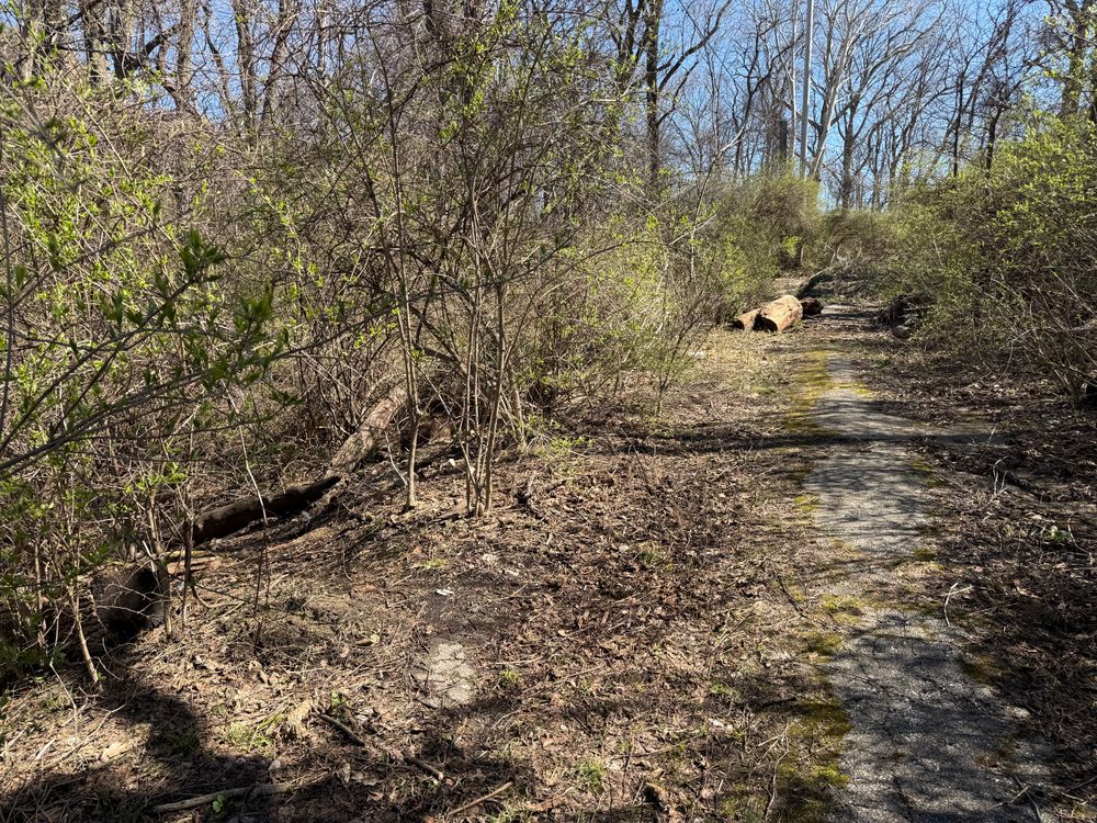 All Photos for A1 Bush Hogging & Lawn Service in London, OH