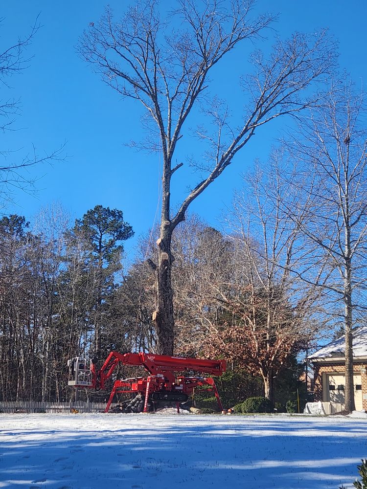 All Photos for Smith Tree Experts in Palmyra, VA