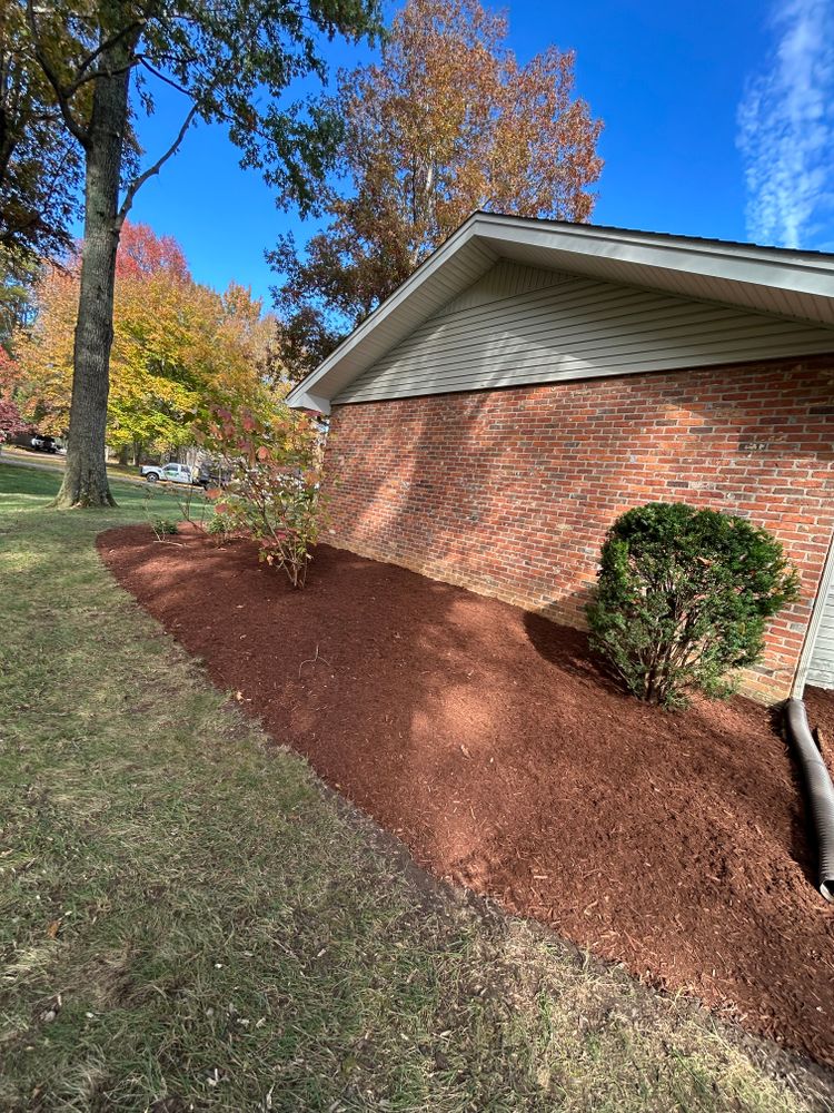 All Photos for Optimum Tree Service And Landscaping in Bowling Green, KY