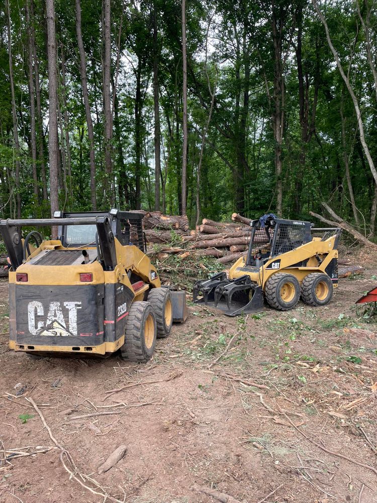 Tree Removal for Ace Tree Service  in Fuquay-Varina, NC