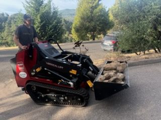 Property Clean Up for The Tree Fairy in Temecula, CA