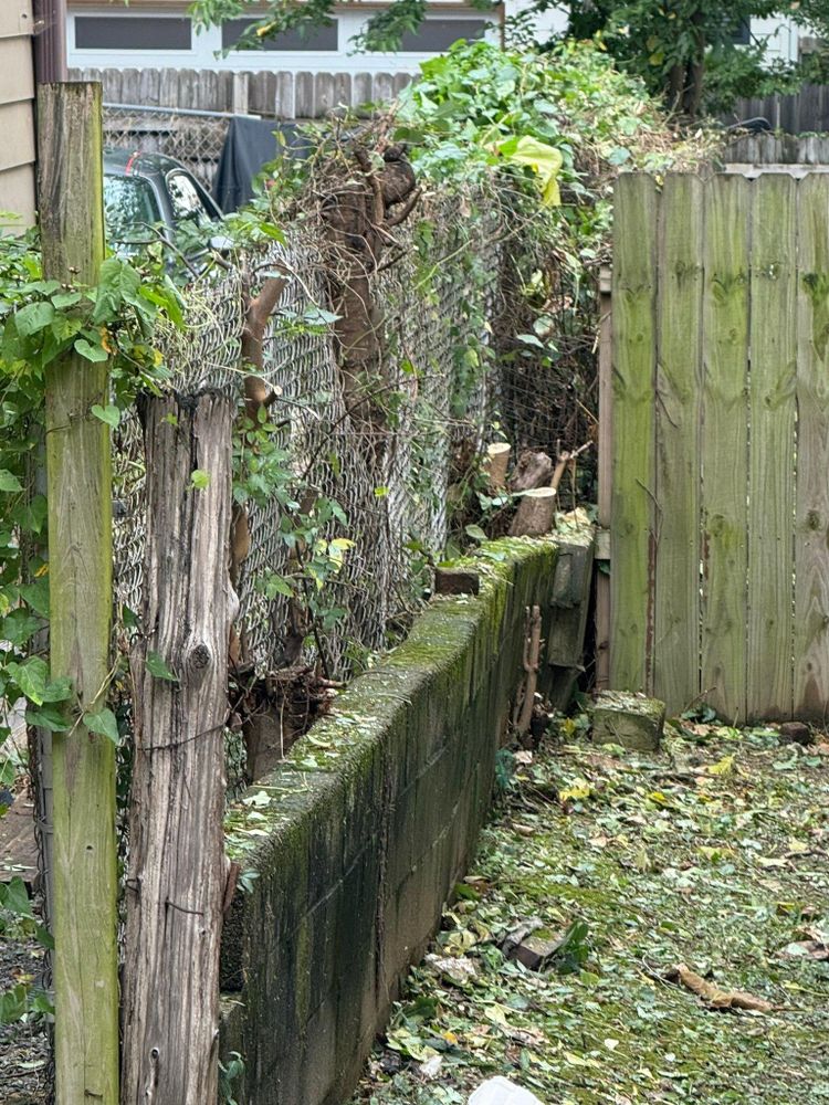 All Photos for Grass Management in Nashville, TN